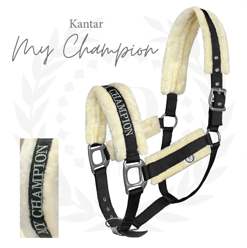 Haftowany napis My Champion na kantarze dla konia