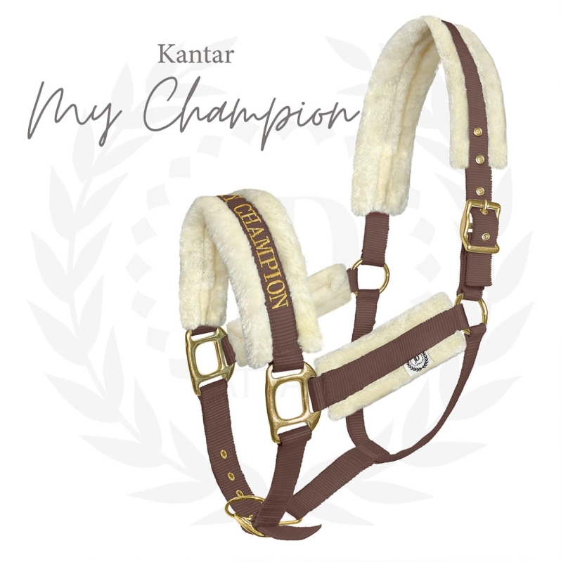 Podszycie z futerka w kantarze My Champion