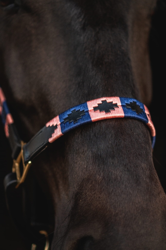 Soft genuine leather of the Polo horse halter