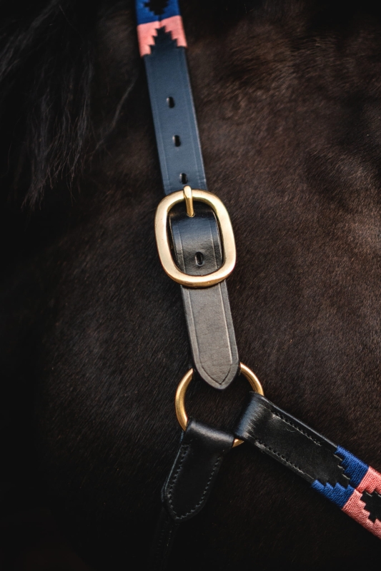 Gold hardware on the Polo leather halter