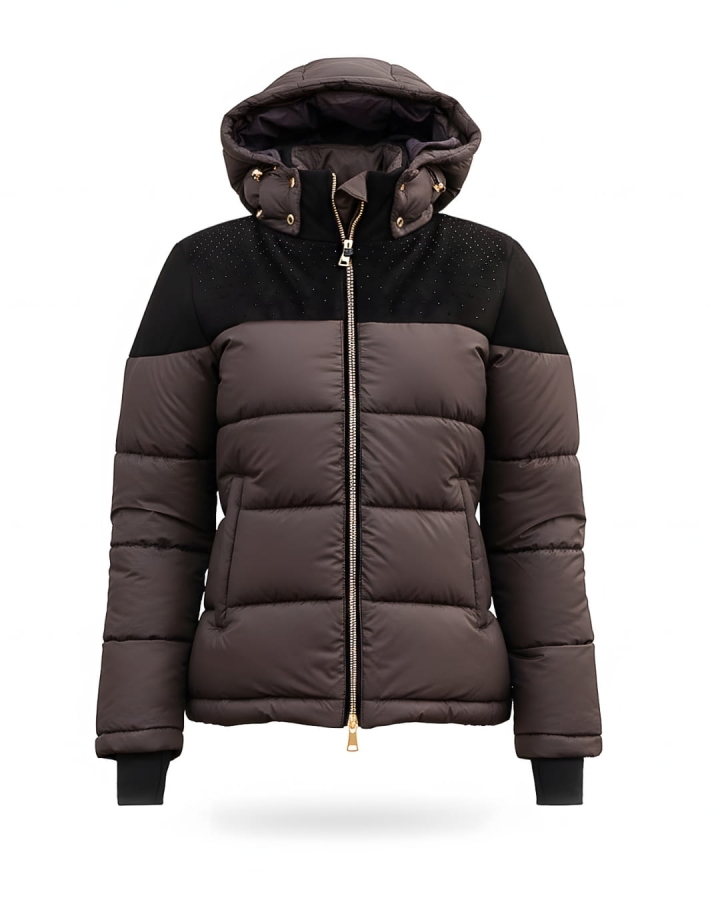 Vena brown riding jacket with crystals by JD ATTACK in a chocolate shade