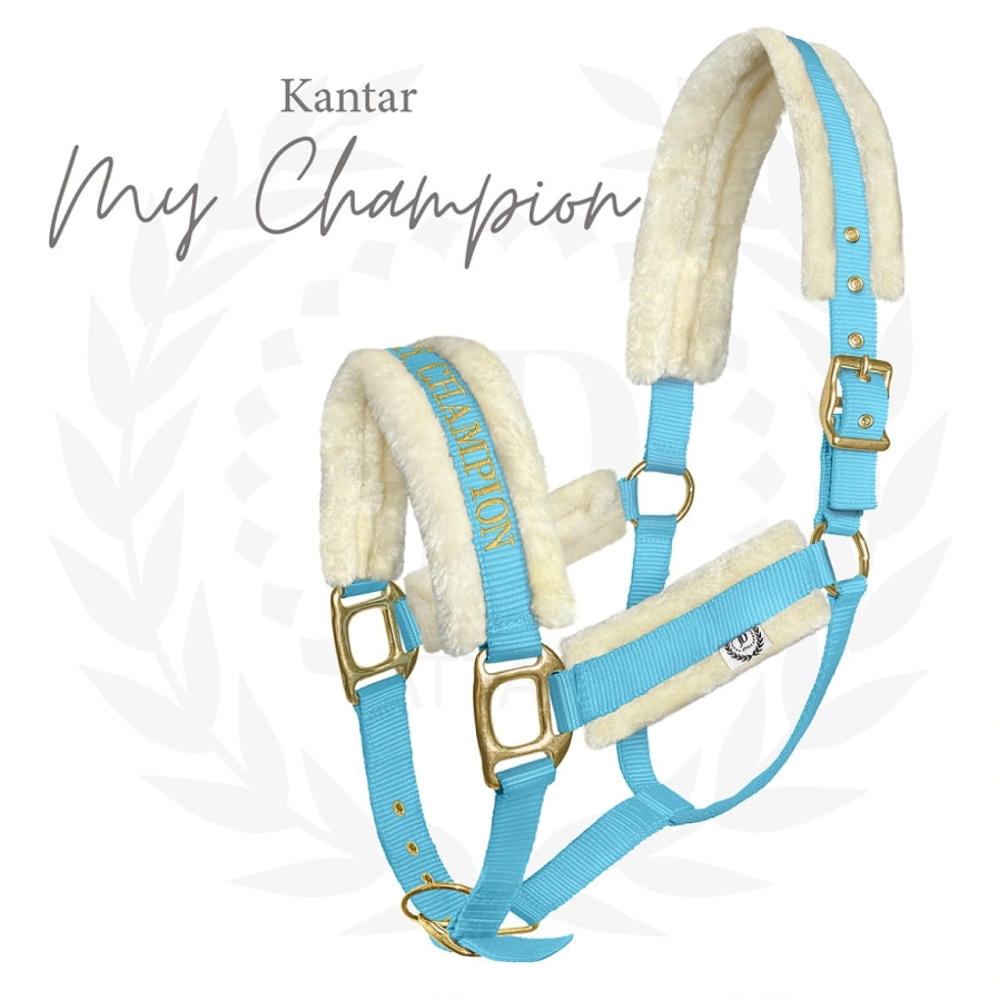 Kantar My Champion w kolorze baby blue z futerkiem i złotymi okuciami