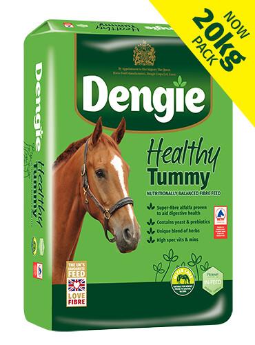 Sieczka Dengie Healthy Tummy 20 kg dla koni z problemami gastrycznymi