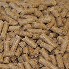 saracen-super-fibre-cubes-20kg-1.jpg