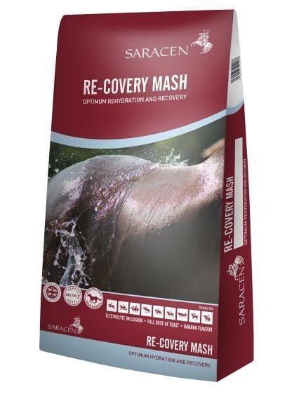 Bordowy worek meszu Saracen Re-Covery Mash 20 kg z kąpanym koniem