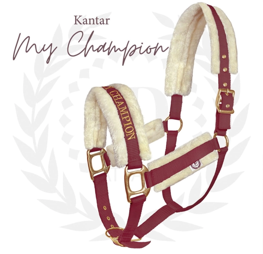 Kantar My Champion w kolorze bordowym z futerkiem i złotym haftem napisu