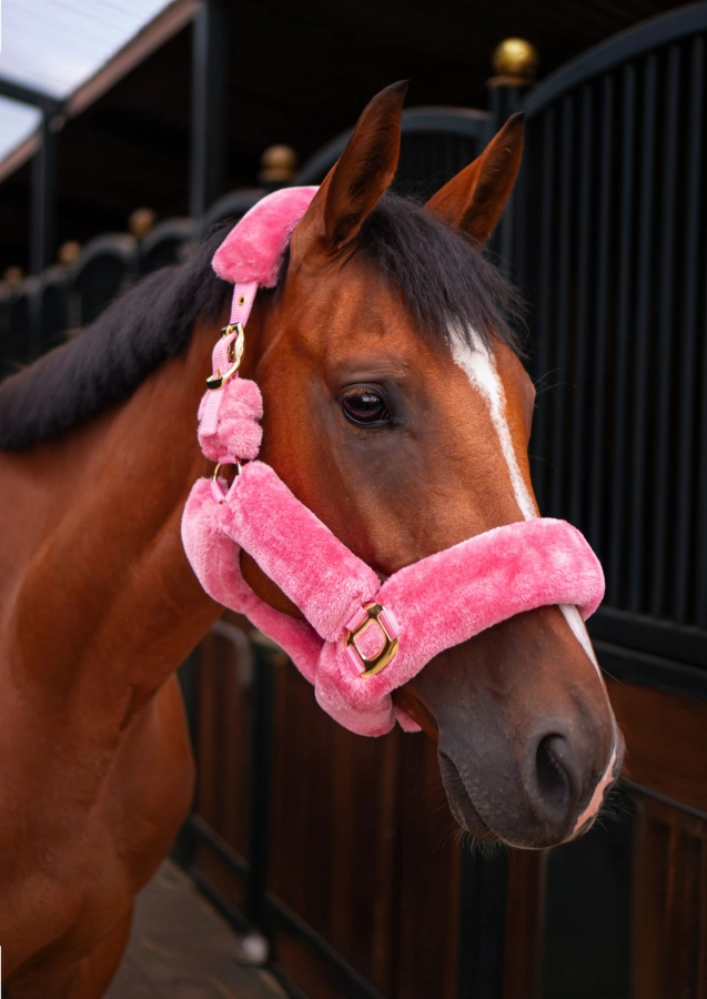 Kantar Minky w kolorze Baby Pink na gniadym koniu w stajni
