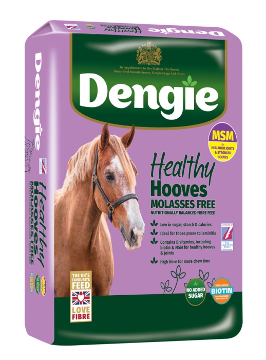 Sieczka Dengie Healthy Hooves Molasses Free z MSM 20 kg, bez melasy