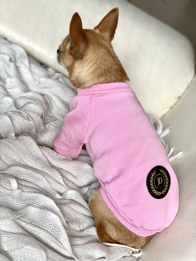 Bluza dla psa w kolorze Baby Pink na leżącym chihuahua
